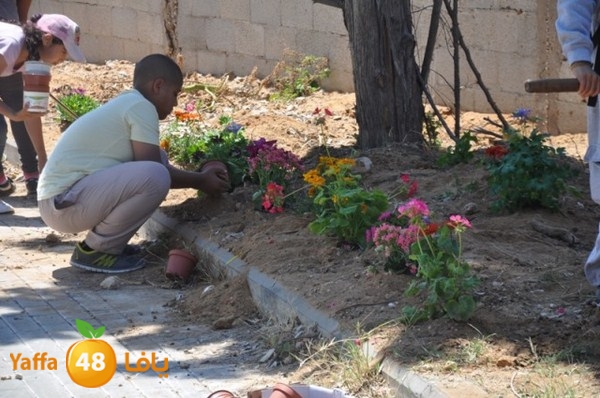 tasoo qemam (54).JPG